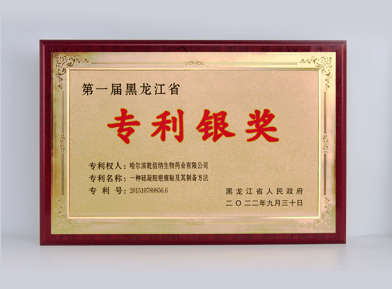 1490-1099尺寸调整专利银奖证书.jpg